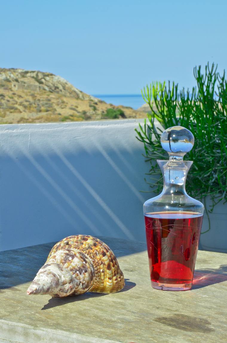 Hotel Naxos Filoxenia
